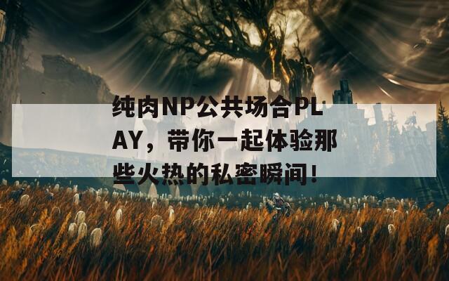 纯肉NP公共场合PLAY，带你一起体验那些火热的私密瞬间！