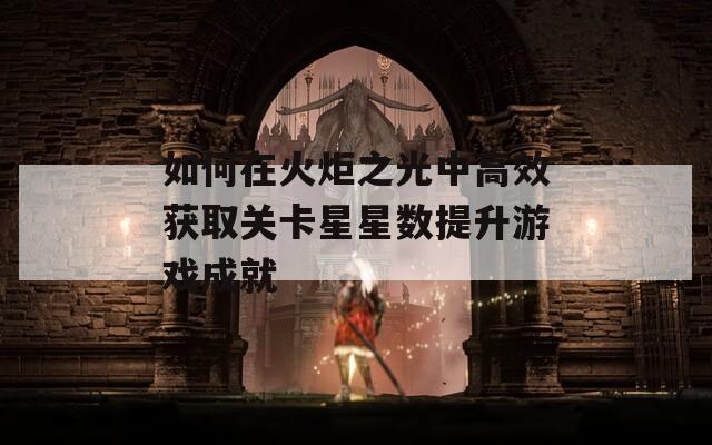 如何在火炬之光中高效获取关卡星星数提升游戏成就