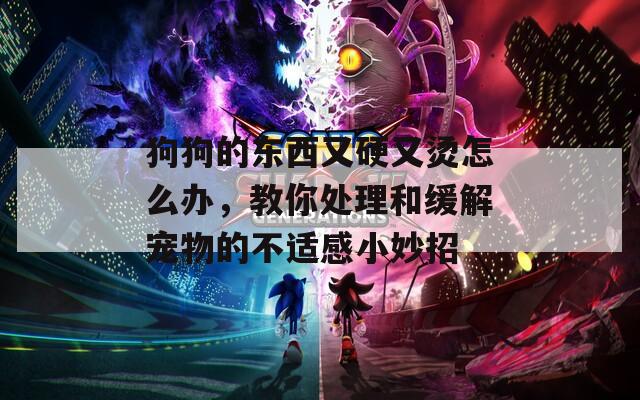 狗狗的东西又硬又烫怎么办，教你处理和缓解宠物的不适感小妙招