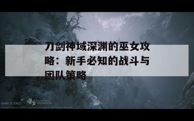 刀剑神域深渊的巫女攻略：新手必知的战斗与团队策略