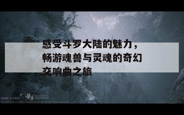 感受斗罗大陆的魅力，畅游魂兽与灵魂的奇幻交响曲之旅