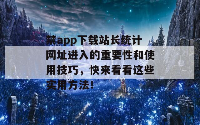 禁app下载站长统计网址进入的重要性和使用技巧，快来看看这些实用方法！