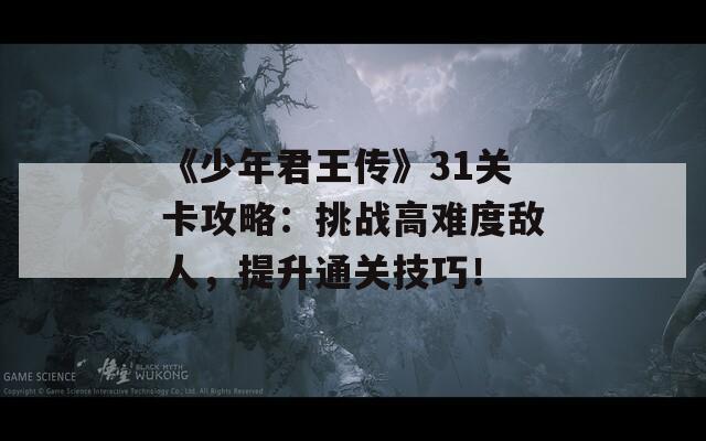 《少年君王传》31关卡攻略：挑战高难度敌人，提升通关技巧！