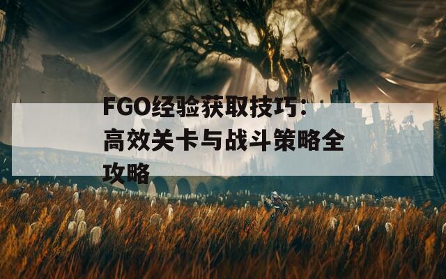 FGO经验获取技巧：高效关卡与战斗策略全攻略