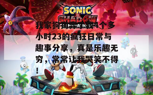 我家狗狗弄了我4个多小时23的疯狂日常与趣事分享，真是乐趣无穷，常常让我哭笑不得！