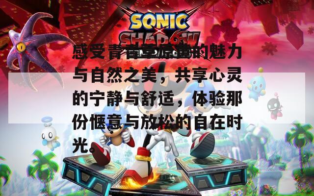 感受青青草原黄的魅力与自然之美，共享心灵的宁静与舒适，体验那份惬意与放松的自在时光。