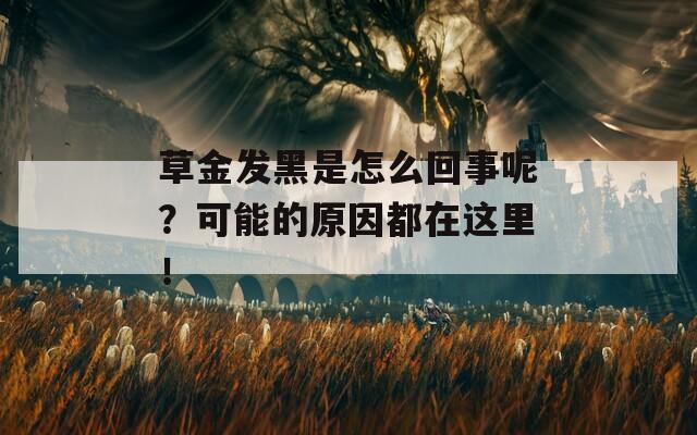 草金发黑是怎么回事呢？可能的原因都在这里！