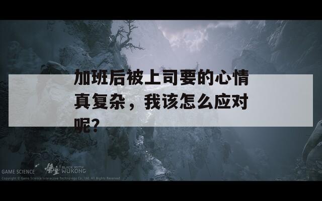 加班后被上司要的心情真复杂，我该怎么应对呢？