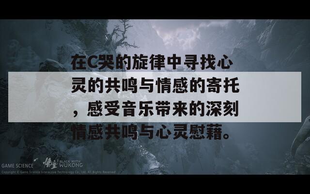 在C哭的旋律中寻找心灵的共鸣与情感的寄托，感受音乐带来的深刻情感共鸣与心灵慰藉。