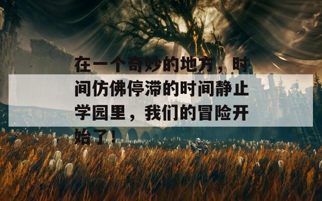 在一个奇妙的地方，时间仿佛停滞的时间静止学园里，我们的冒险开始了！