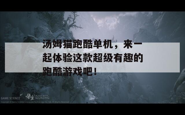 汤姆猫跑酷单机，来一起体验这款超级有趣的跑酷游戏吧！