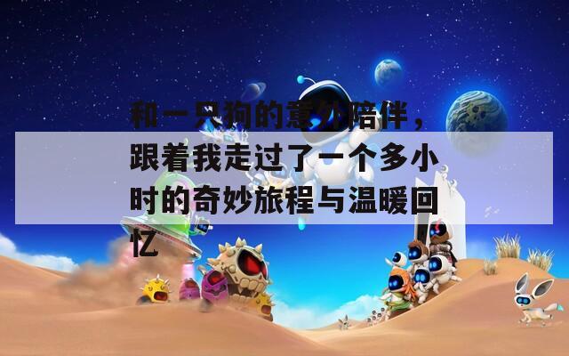 和一只狗的意外陪伴，跟着我走过了一个多小时的奇妙旅程与温暖回忆