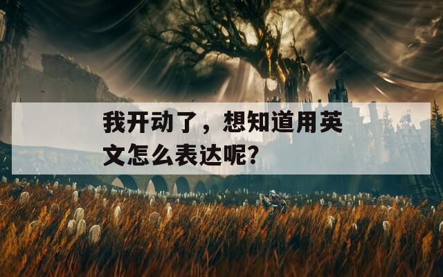 我开动了，想知道用英文怎么表达呢？