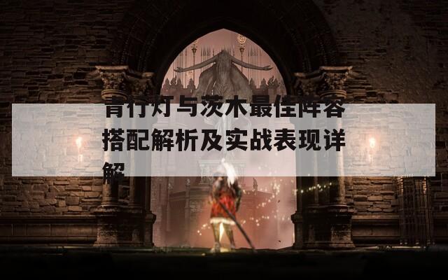 青行灯与茨木最佳阵容搭配解析及实战表现详解