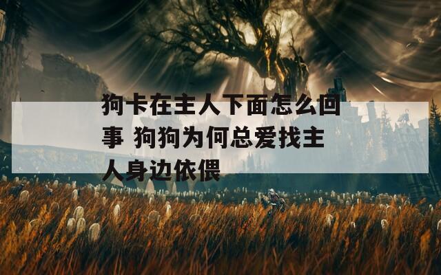 狗卡在主人下面怎么回事 狗狗为何总爱找主人身边依偎