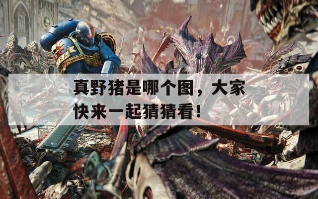 真野猪是哪个图，大家快来一起猜猜看！