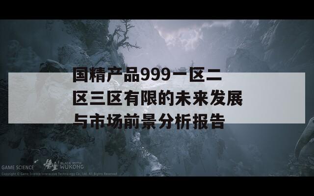 国精产品999一区二区三区有限的未来发展与市场前景分析报告