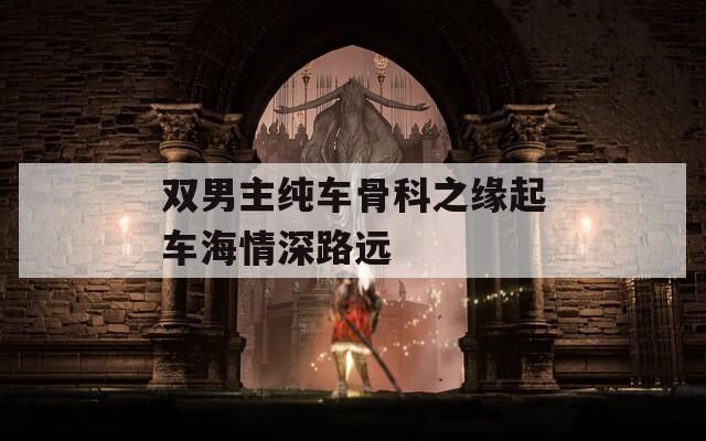 双男主纯车骨科之缘起车海情深路远