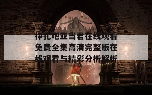 挣扎吧亚当君在线观看免费全集高清完整版在线观看与精彩分析解析