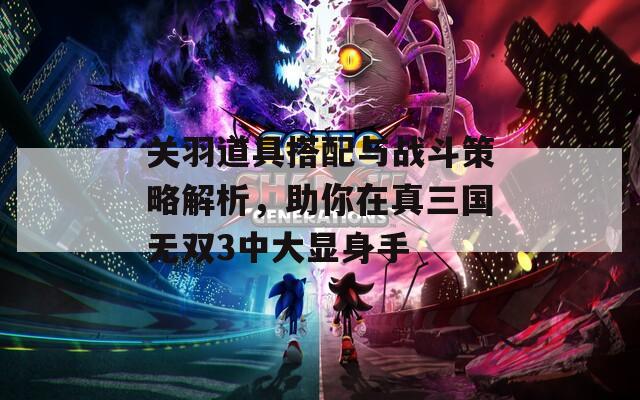 关羽道具搭配与战斗策略解析，助你在真三国无双3中大显身手