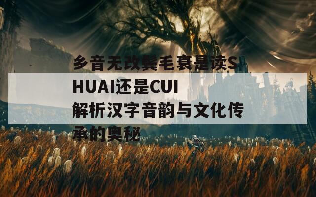 乡音无改鬓毛衰是读SHUAI还是CUI 解析汉字音韵与文化传承的奥秘