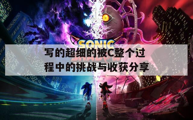 写的超细的被C整个过程中的挑战与收获分享