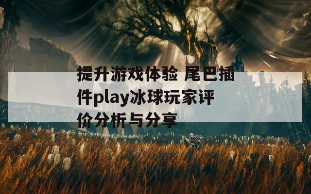 提升游戏体验 尾巴插件play冰球玩家评价分析与分享