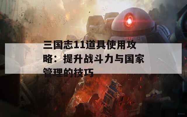 三国志11道具使用攻略：提升战斗力与国家管理的技巧