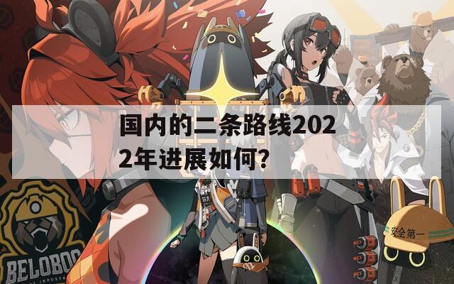 国内的二条路线2022年进展如何？