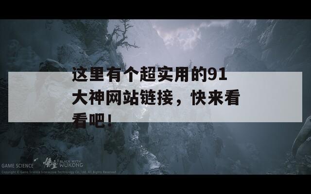 这里有个超实用的91大神网站链接，快来看看吧！