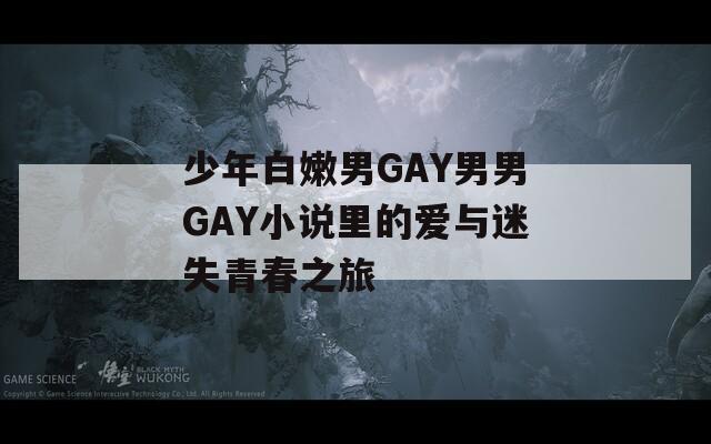 少年白嫩男GAY男男GAY小说里的爱与迷失青春之旅