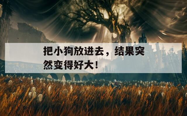 把小狗放进去，结果突然变得好大！