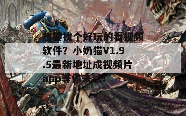 想要找个好玩的看视频软件？小奶猫V1.9.5最新地址成视频片app等你来试！