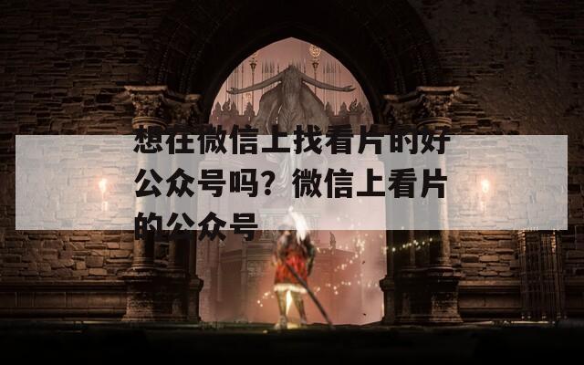 想在微信上找看片的好公众号吗？微信上看片的公众号