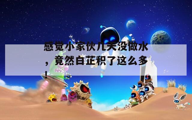 感觉小家伙几天没做水，竟然白芷积了这么多！