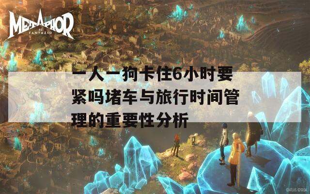 一人一狗卡住6小时要紧吗堵车与旅行时间管理的重要性分析