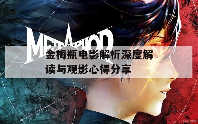 金梅瓶电影解析深度解读与观影心得分享