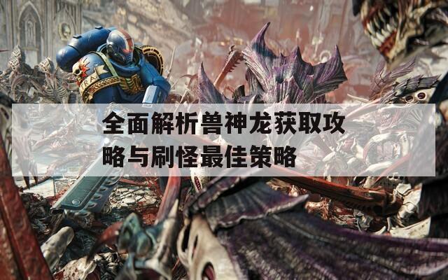 全面解析兽神龙获取攻略与刷怪最佳策略