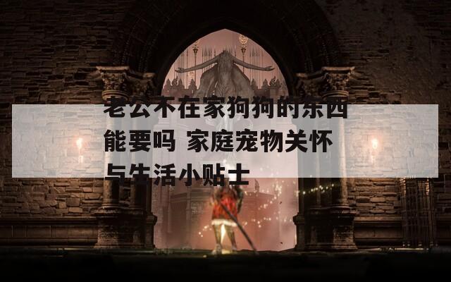 老公不在家狗狗的东西能要吗 家庭宠物关怀与生活小贴士