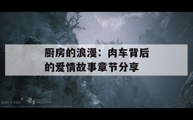厨房的浪漫：肉车背后的爱情故事章节分享