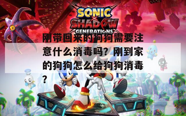 刚带回来的狗狗需要注意什么消毒吗？刚到家的狗狗怎么给狗狗消毒？