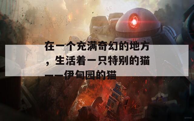 在一个充满奇幻的地方，生活着一只特别的猫——伊甸园的猫