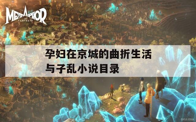 孕妇在京城的曲折生活与子乱小说目录