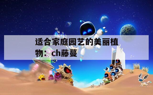 适合家庭园艺的美丽植物：ch藤蔓