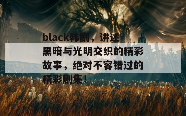 black韩剧，讲述黑暗与光明交织的精彩故事，绝对不容错过的精彩剧集！