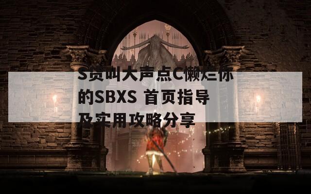 S货叫大声点C懒烂你的SBXS 首页指导及实用攻略分享