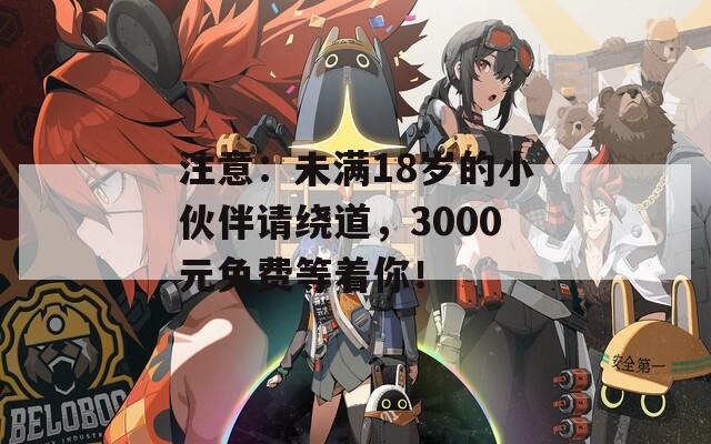 注意：未满18岁的小伙伴请绕道，3000元免费等着你！