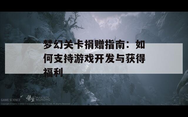 梦幻关卡捐赠指南：如何支持游戏开发与获得福利