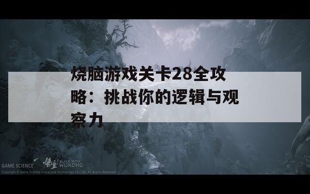 烧脑游戏关卡28全攻略：挑战你的逻辑与观察力