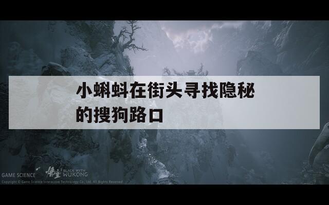 小蝌蚪在街头寻找隐秘的搜狗路口